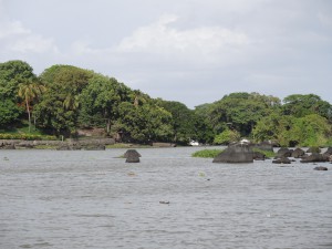 DSCN7306